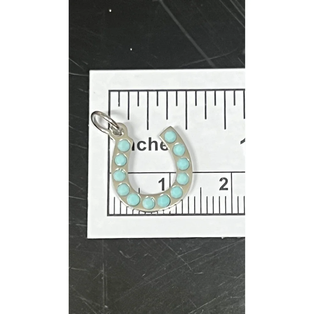 Turquoise Stone Horseshoe Charm Stainless‎ Steel Silver Blue Excellent